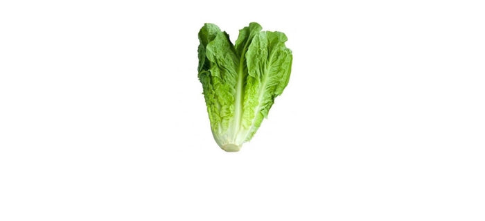 Jordanian Romaine Lettuce - 1 pc