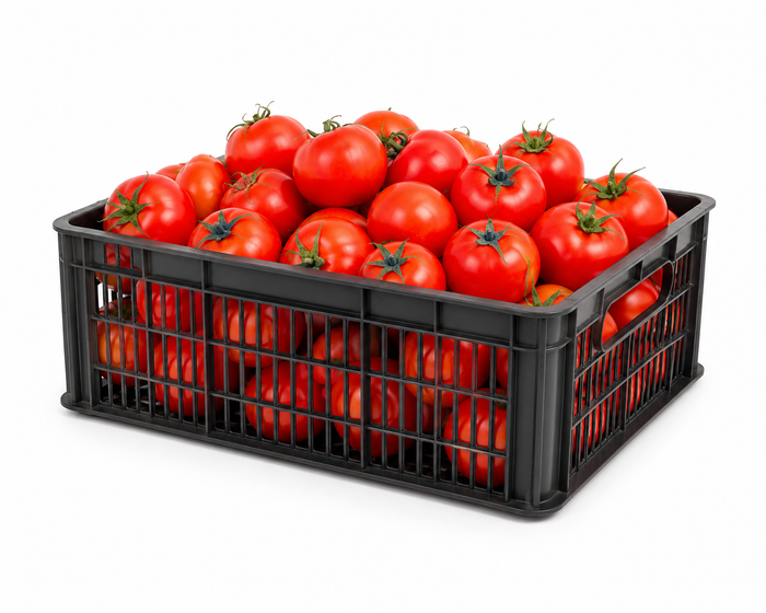 Jordanian Tomatoes, 6 kg basket